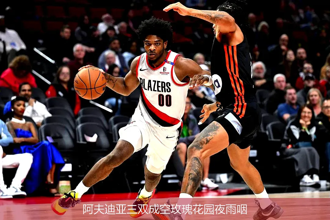 12月3日,阿夫迪亚三双成空玫瑰花园夜雨咽