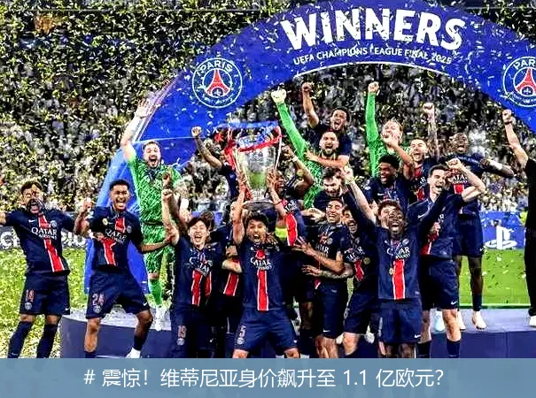 # 震惊！维蒂尼亚身价飙升至 1.1 亿欧元？